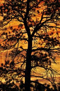 Skip Hunt Go West Photography Exhibit Skip Hunt Go West Photography Exhibit